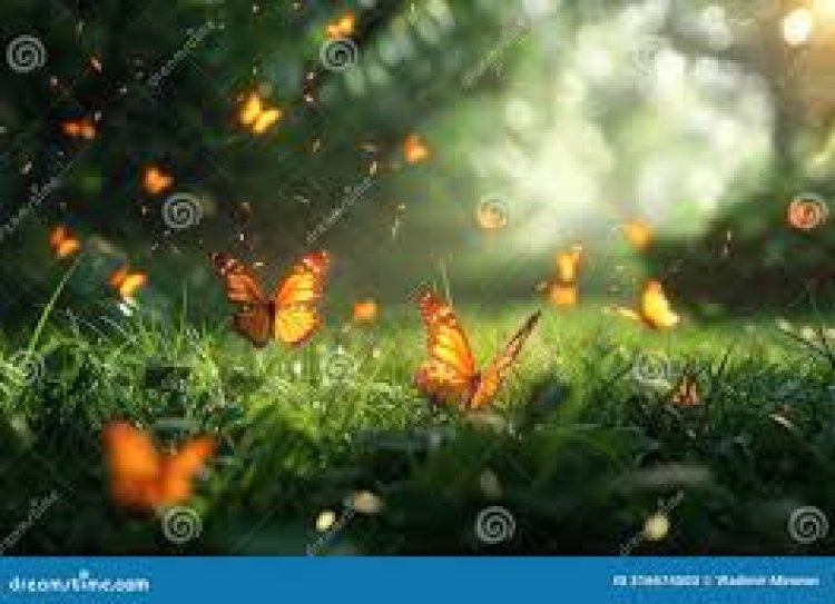 கொல்லிமலை:சிறகடிக்கும் பட்டாம்பூச்சிகளை காண சுற்றுலாப் பயணிகள் ஆர்வம்