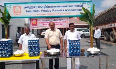 10 ஆயிரம் வேக வைத்த முட்டைகள் இலவசமா?