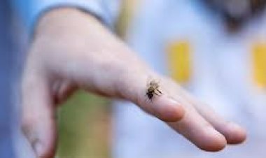 ரேஷன் கடைக்கு வந்தது ஒரு குத்தமா? Namakkal | Bee | Bite